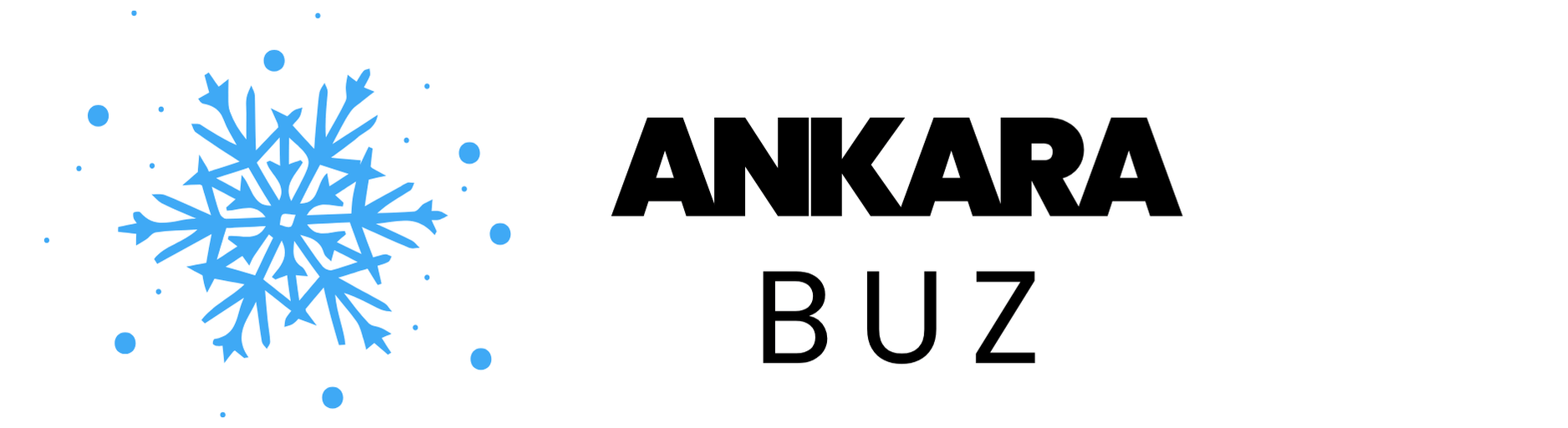 ANKARA BUZ